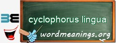 WordMeaning blackboard for cyclophorus lingua